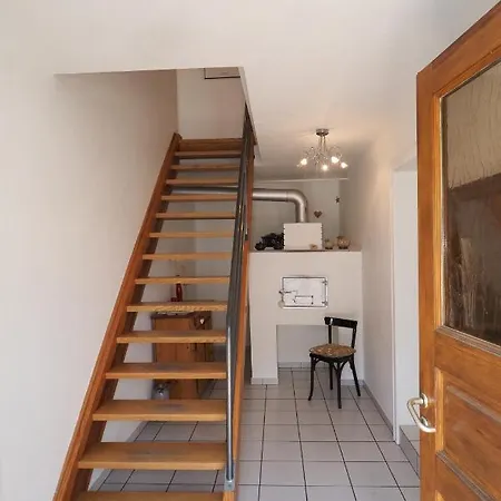 L'hortensia Blanc Bergholtz